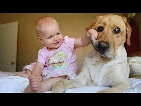 BABIES meet CATS and DOGS for FIRST TIME!