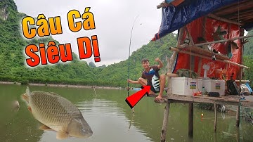 Video Câu Cá Dị Nhất Thế Giới ( Lạ Vlog 30 Ngày Sinh Tồn) 30 Day survival