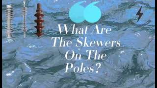 What Are The Skewers On The Poles? Do You Know? by YUKI@TTF POWER 1,299 views 1 year ago 50 seconds