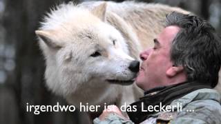 A kiss from a wolf