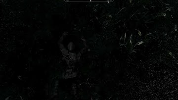 Skyrim highest survived jump