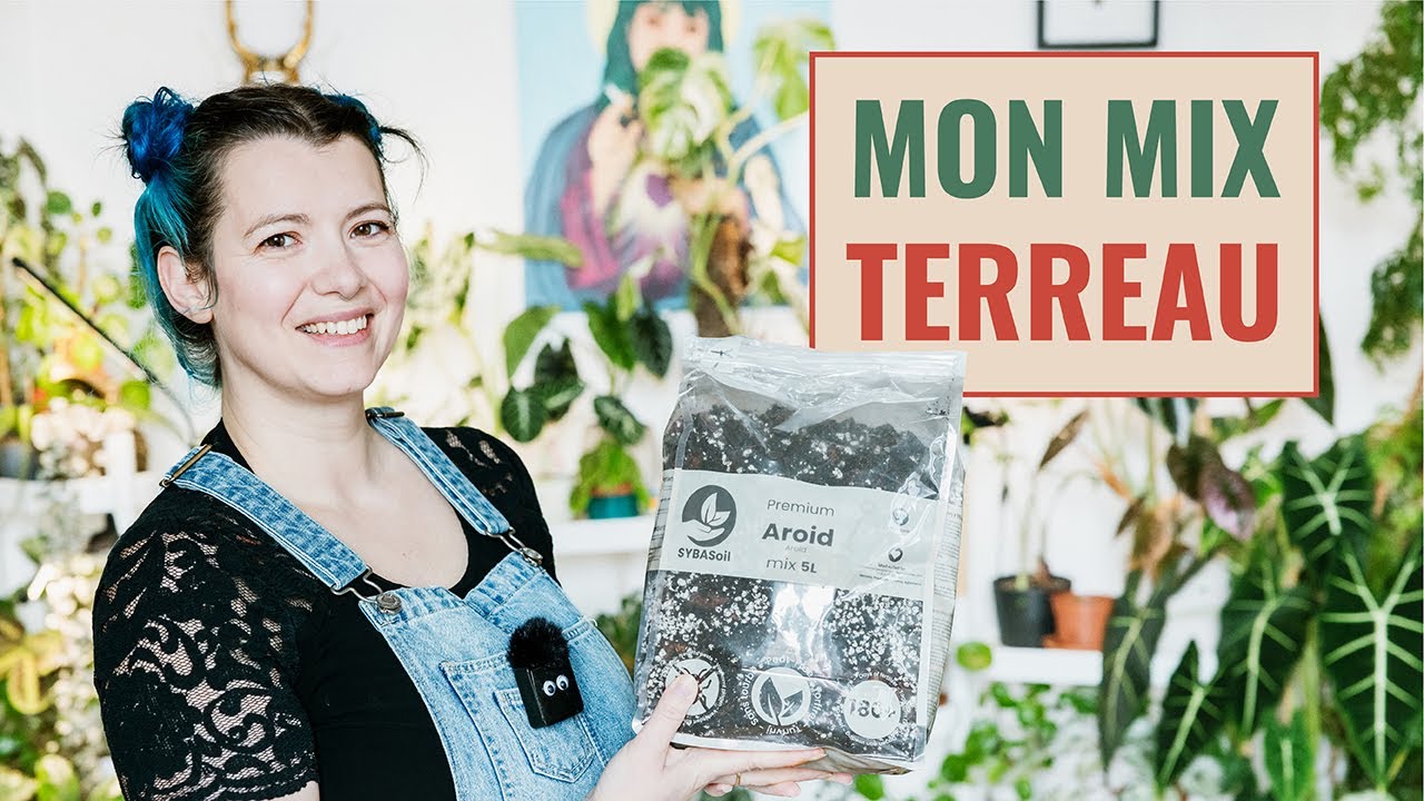 🪴 Quel Terreau pour mes Plantes d'Intérieur ? Un guide pour t'aider à bien choisir 👩‍🌾