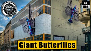 Giant butterflies came to Prague 🇨🇿 Czech Republic 4k HDR ASMR