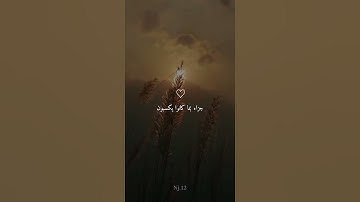 راحة نفسية❤️✨حالات واتس اب قران/مقاطع دينية قصيرة آيات قرانية/ستوريات انستا#قران