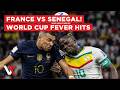 LIVE | France Vs Senegal Fever Grips Three Continents As Fans Gather For World Cup Showdown | VERTEX
