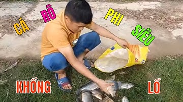 Giăng Lưới Bắt Cá Rô Phi Khổng Lồ & Kết Quả Bất Ngờ l A Nông Vùng Cao