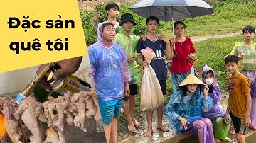 Trải nghiệm một ngày dầm mưa bắt chuột đồng | đặc sản Yên Thành thịt chuột