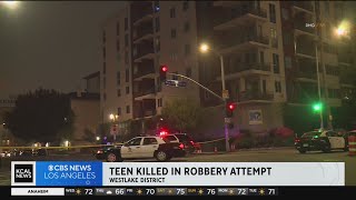 Teen Fatally Shot In Koreatown Robbery Attempt
