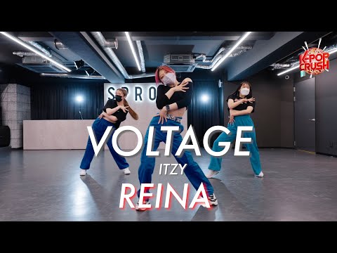 REINA / K-POP WS