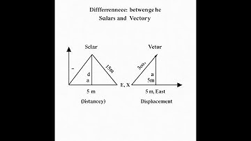 Scalars & Vectors Explained! | GCSE Physics Revision