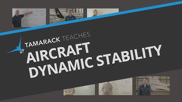Aircraft Dynamic Stability