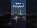 【無料で楽しむ釜山の夜景】韓国釜山ロッテモール「スカイパーク」 Korea Busan night view from the Lotte Mall #韓国 #釜山 #夜景 #ロッテ百貨店