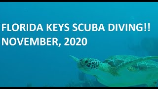 Scuba Diving off Key Largo w/Rainbow Reef Divers, November 2020. Sharks, Turtles and so much more!!