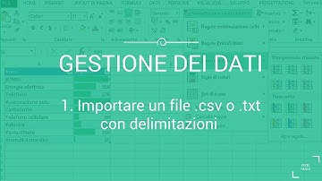 Importazione file .csv o .txt con delimitazioni - Excel Facile