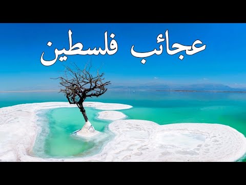 عجائب فلسطين أجمل الأماكن في فلسطين وثائقي ساحر بدقة 4K 