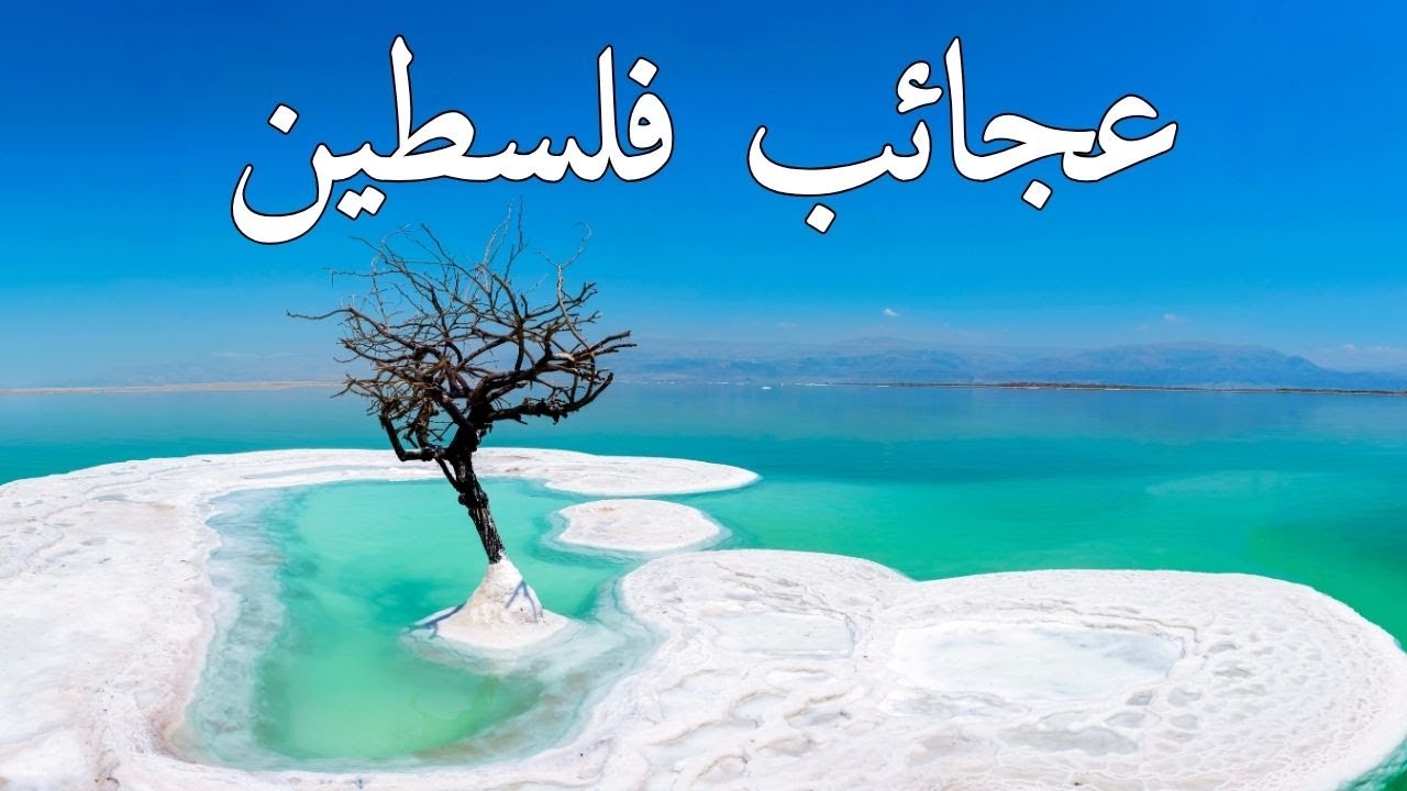 عجائب فلسطين | أجمل الأماكن في فلسطين وثائقي ساحر بدقة 4K