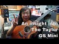 Taylor GS Mini. An insight.