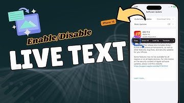 How to Enable/Disable Live Text on iPhone 16