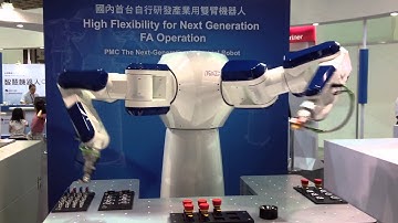 PMC 14 Axis Industrial Dual-Arm Robot