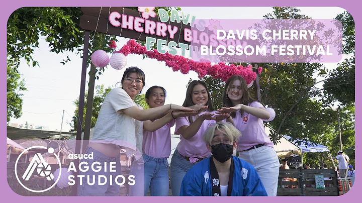 Aggies Now: Davis Cherry Blossom Festival