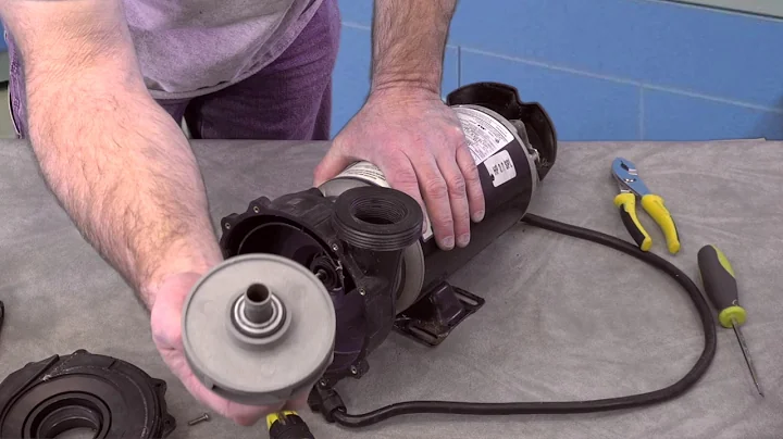 Spa Hot Tub Waterway Hi-Flo Pump How To The Spa Guy Link to Parts