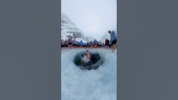 They Acted Exactly Like Penguins… But Weren’t 😳 #shorts