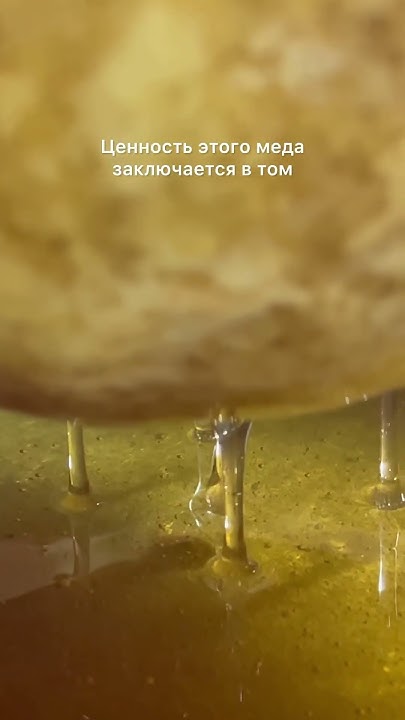 Как мы получаем ЗАБРУСОВЫЙ МЁД #вековаяпасека #пасека #мед - YouTube