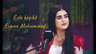 Evana Mohammed - Eslê Keçikê إيڤانا محمد - أصلي كجكي