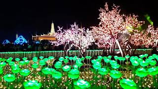 Thailand Glowing Flowers ❤❤❤ screenshot 3