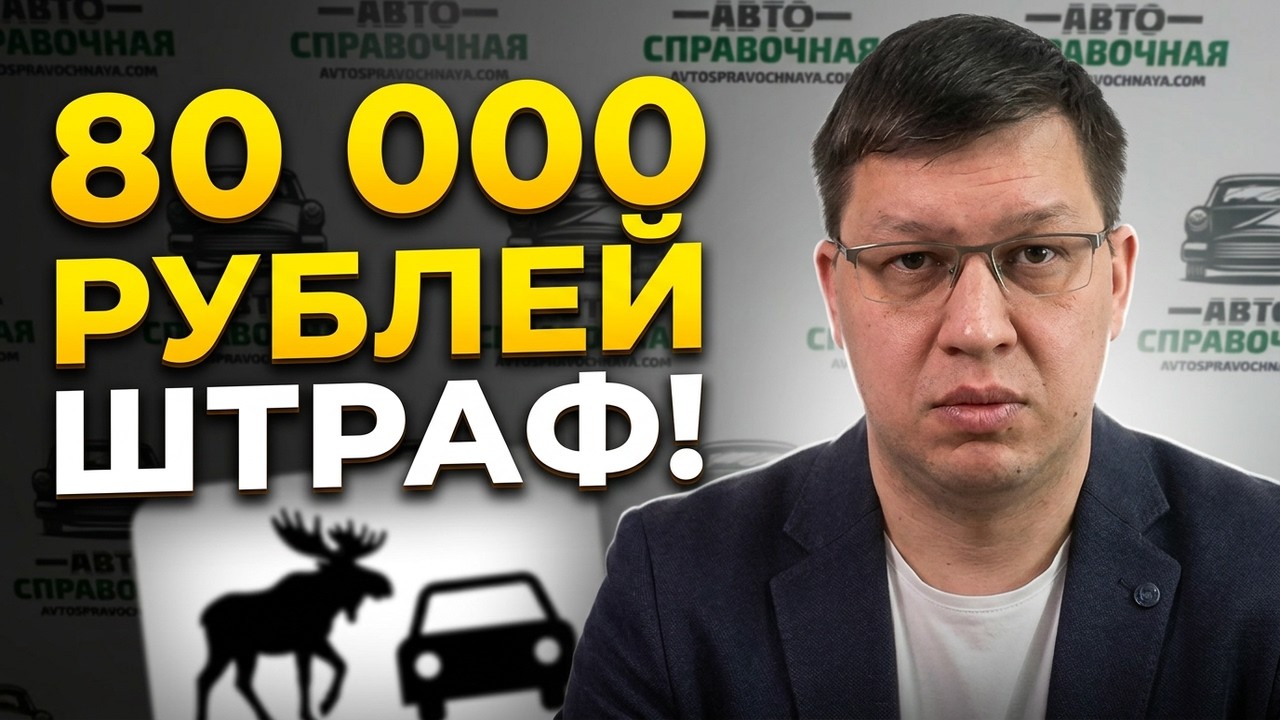 Водитель без ОСАГО заплатит 80 000 рублей за сбитого лося!