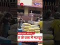 आज के वक्त में मजदुर को पूरी तरह मजबूर कर दिया #pain #worker #life #struggle
