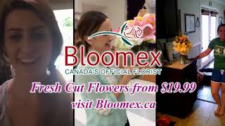 Bloomex - Canada's  Florist