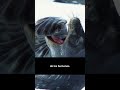 #shorts Premio a la Personalidad Única de los Animales Silvestres