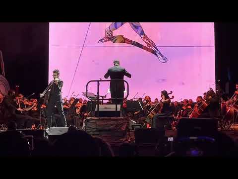 13. Remember Sadness. Pegasus Fantasy - A Symphonic Experience -