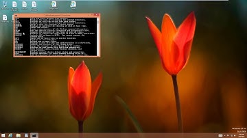 Common Tech Support Scam Tactics | What to do if you were scammed