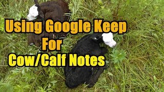 Using Google Keep For Cow/Calf Notes screenshot 5