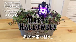 のんびり暮らし。#016｜ミステリアスな多肉寄せ植え。多肉をディズニーハロウィーン仕様に植え替えしました。｜ハロウィン寄せ植え・ガーデニングVlog