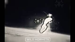 🇺🇦✈️💥WOW, we have a lot to learn from Ukrainains. Sting anti-aircraft drones destroys ruzzian drone 
