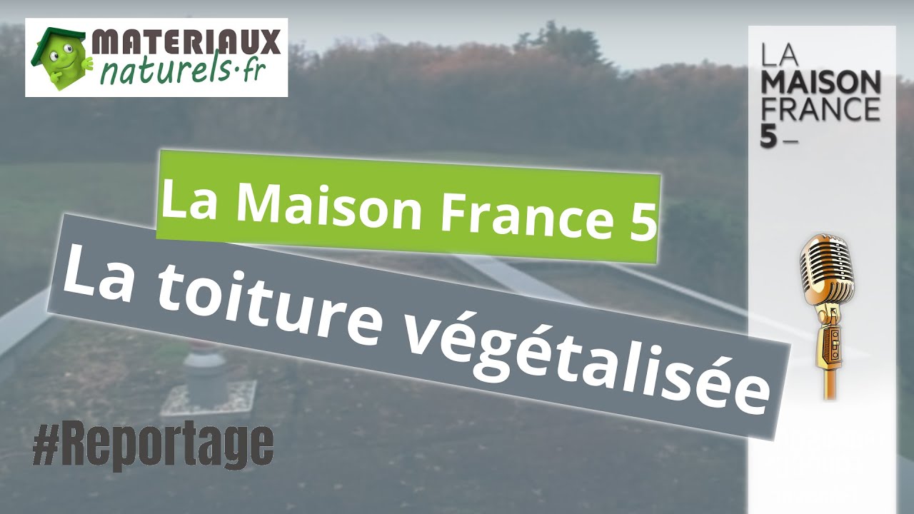 La Maison France 5 - La toiture végétailsée