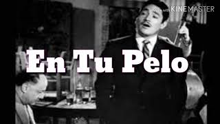 EN TU PELO (LETRA)  JAVIER SOLIS