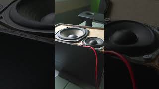 3inch passive radiator.#bass #basstest #fyp #sony #excursion #subwoofer