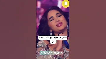 قلبت دوباره خواهش بمه داره Shortsfeed 