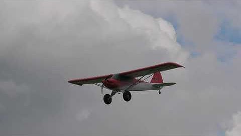 E Flite Carbon Z CUB SS