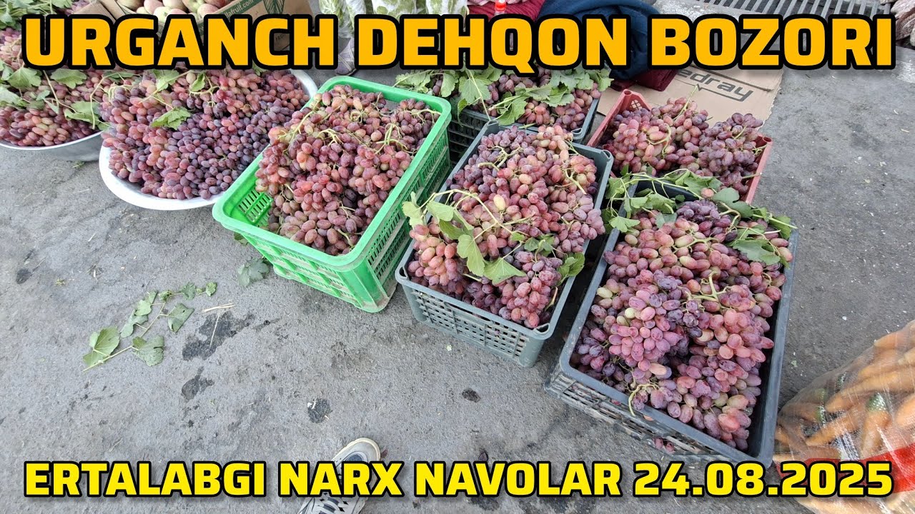 УРГАНЧ ДЕХКОН БОЗОРИ | ТОНГГИ НАРХ НАВОЛАР 24.08.2025