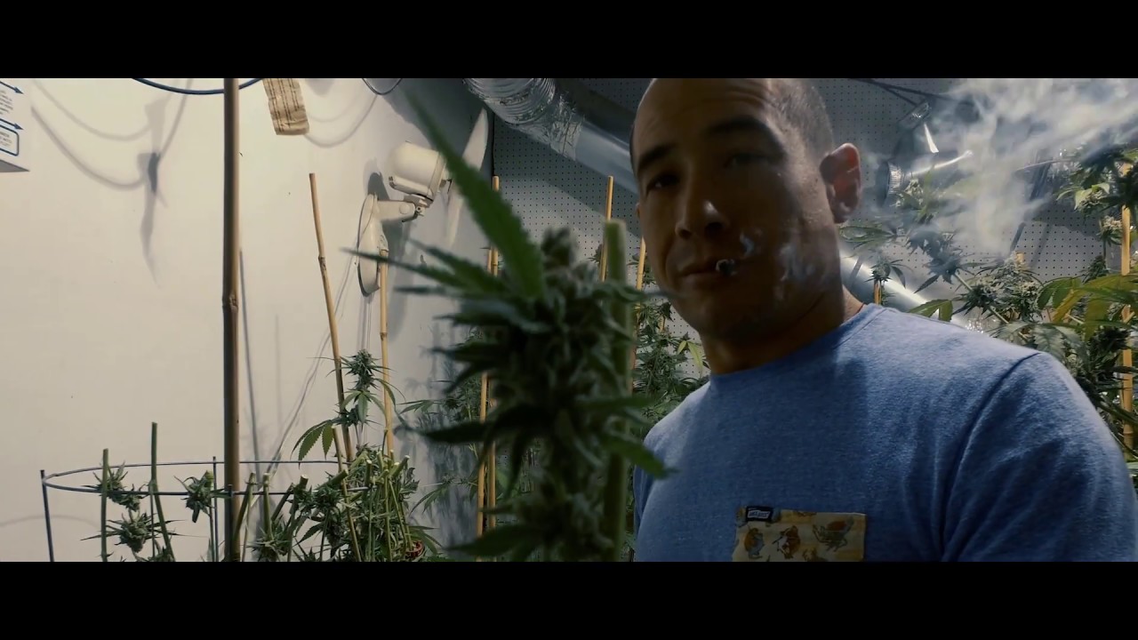 The Principles of Intentional Horticulture