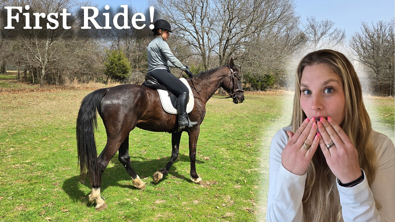 Riding My Rescue Horse for the First Time! | HUGE Milestone | Kill Pen ...