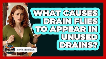 What Causes Drain Flies To Appear In Unused Drains? - Insects and Invaders