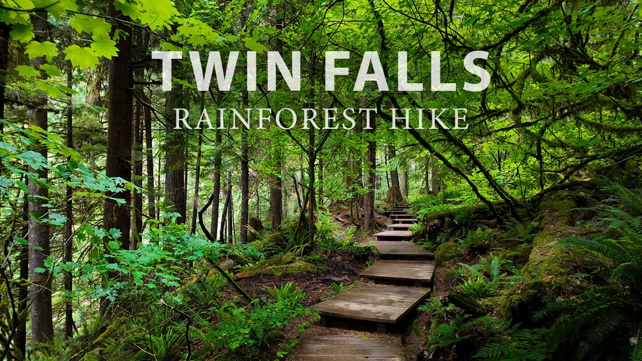 Meditative Rainforest Hike to Twin Falls - Lush Forest Trails of Lynn Canyon Park, North Vancouver