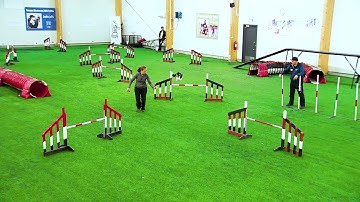 International Agility Training Week - Shaping The Approach For The Flick - Preview