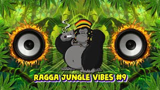 Ragga Jungle Drum & Bass Vibes #9 (Reggae DnB Mix)